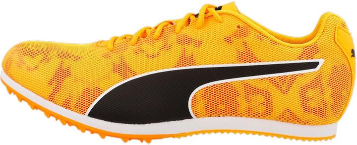 Actual product image Puma evoSPEED Star 8 (42.5)