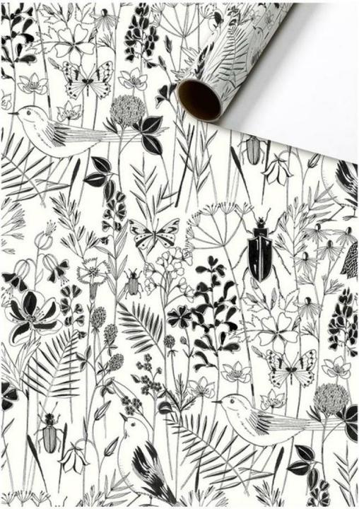 Stewo Inpakpapier Fiella 252853127 zwart 70x200cm (Inpakpapier, 1 x)