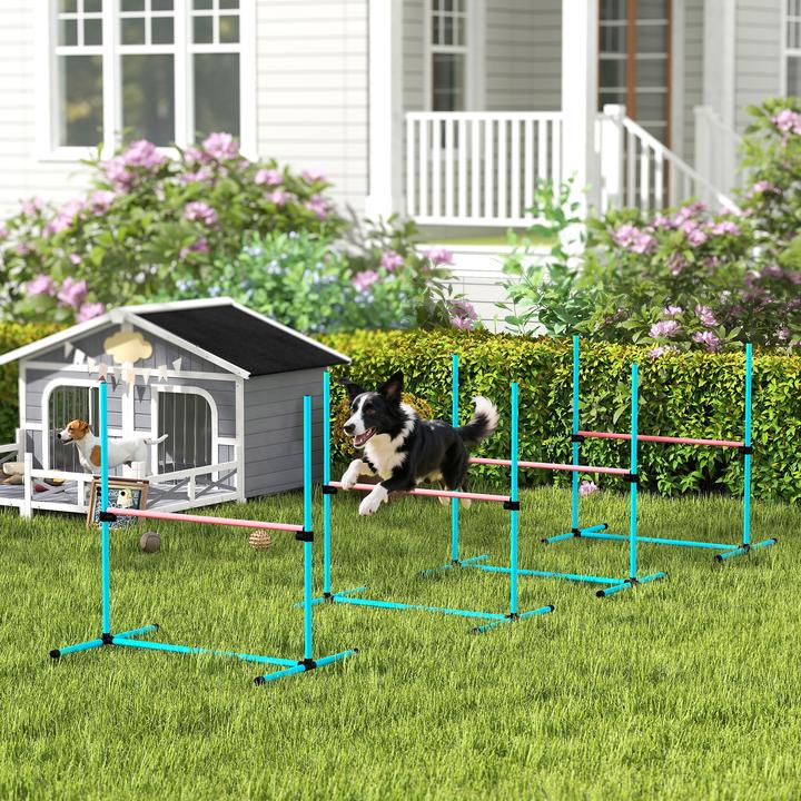 Produktbild PawHut Agility Set Hunde Kunststoff Hellblau (Agility)