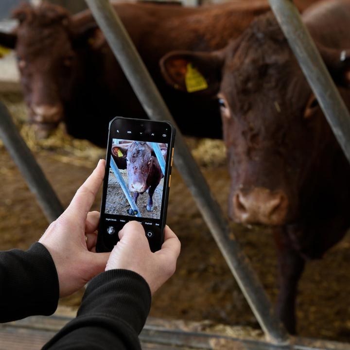 Actual product image JCB Toughphone E10 (64 GB, Black, 6.60", Dual SIM, 4G)