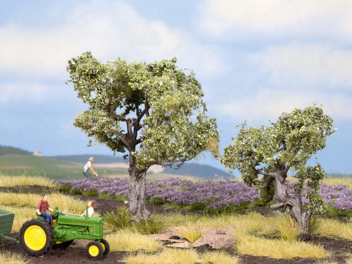 Image du produit Noch Pack d'arbres Olivier 60 à