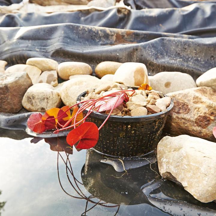 Productafbeelding Oase Plantenmand