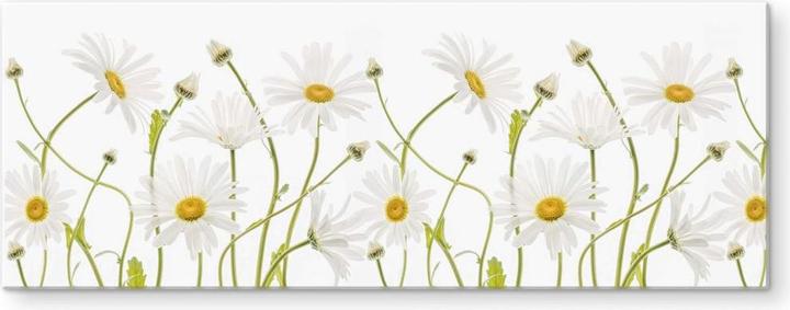 Actual product image Trenddeko Ox eye Daisies (100 x 40 cm)