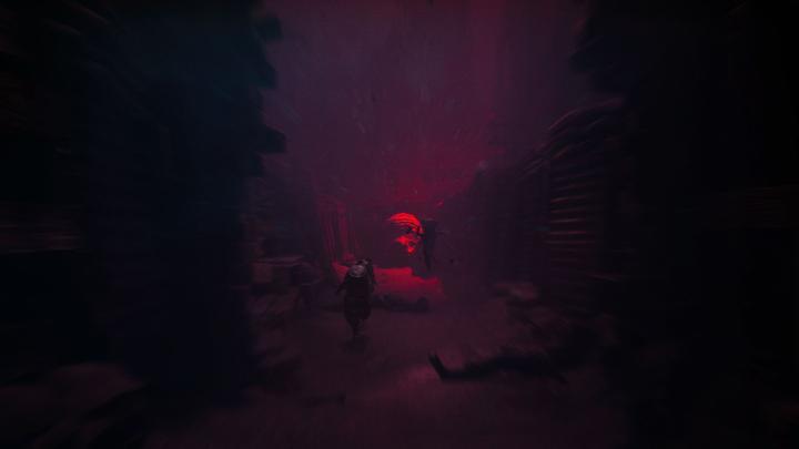 Actual product image THQ Reanimal (Switch 2)