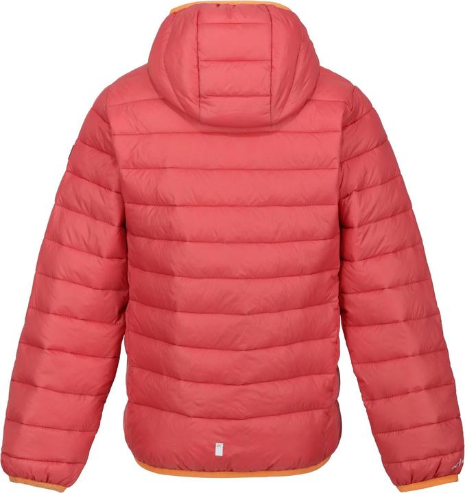 Produktbild Regatta Marizion Steppjacke mit Kapuze (158)