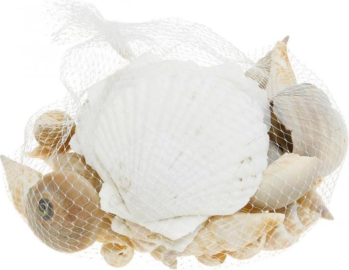 Actual product image Decoris Dekomuscheln - im Säckchen - ca. 350 g - 1 Stück