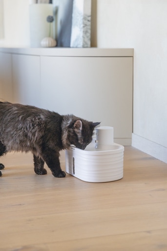 Actual product image Beeztees Trinkwasserbrunnen Sef Katze (2.50 l)