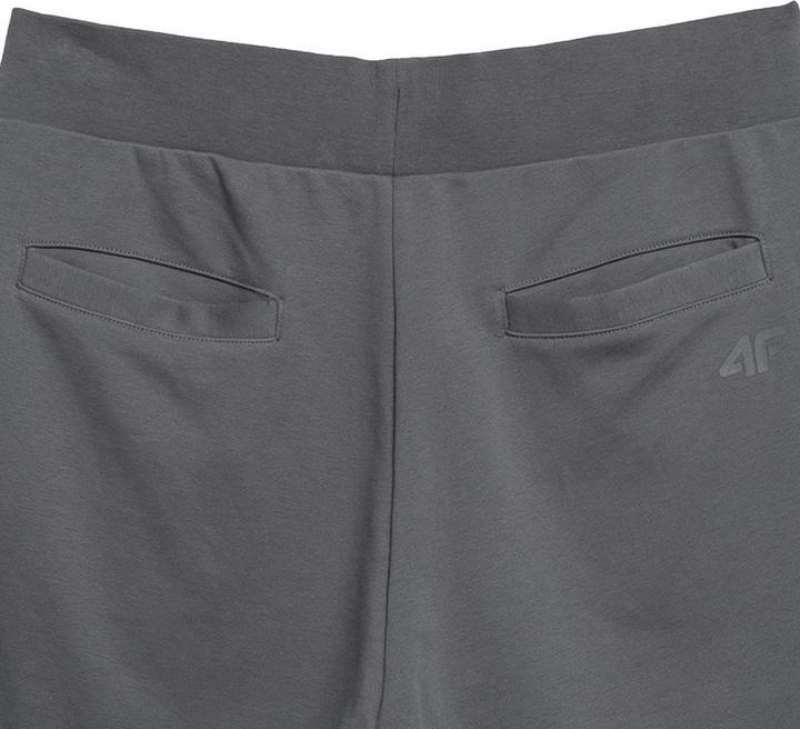 Produktbild 4F SS23TSHOM074 Shorts (S)