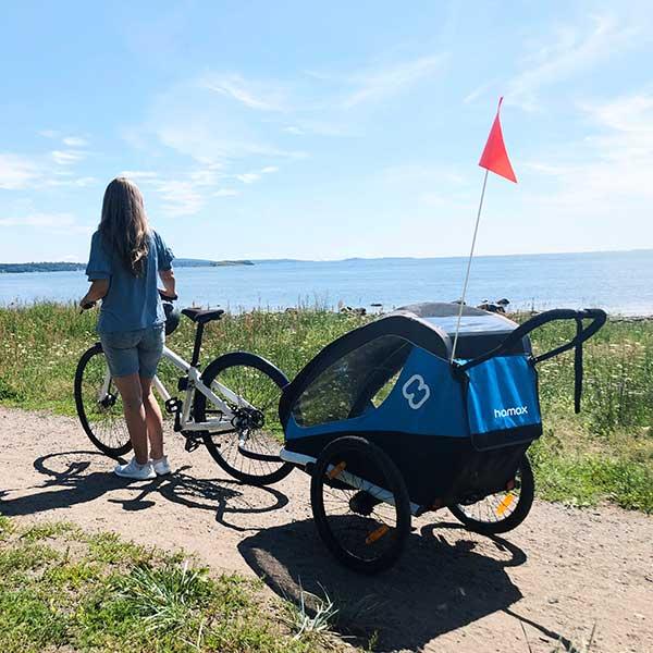 Actual product image hamax Traveller