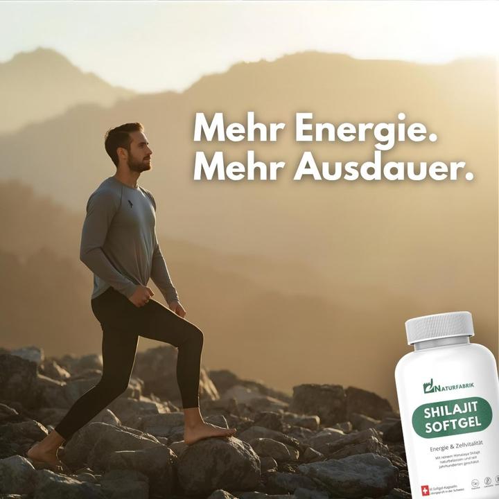 Produktbild Naturfabrik Shilajit Softgel Kapseln 60 Stück (60 Stück, Kapseln)