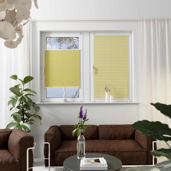 Produktbild Home Klemmfix-Plissee Florida (55 x 130 cm)