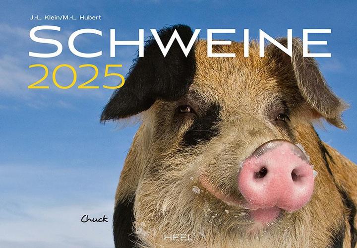 Produktbild Schweine Kalender 2025 (Harter Einband, Deutsch)
