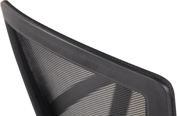 Immagine prodotto CLP Kampen (43 - 53 cm)