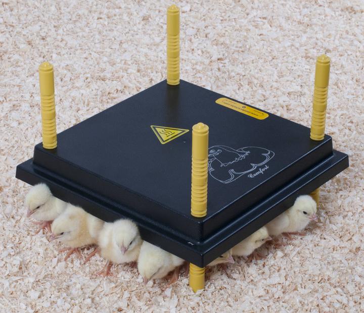 Actual product image Comfort heating plate 40x50cm for chicks, 46W/ 220-240V