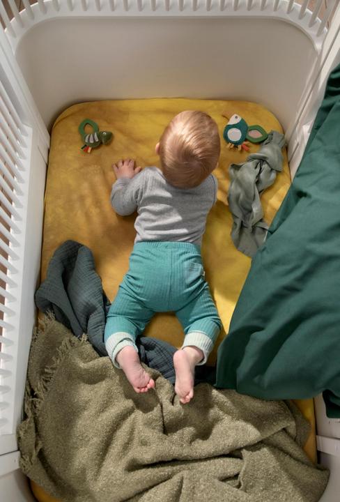 Image du produit Sebra Hochet d'activité, miroir, Tully le toucan