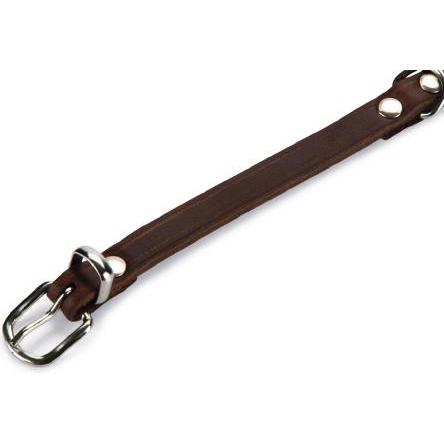 Thumbnail - Beeztees BZ LEDERHALSBAND BRAUN 32X10 (32, Hund, Allgemein), Halsband + Leine