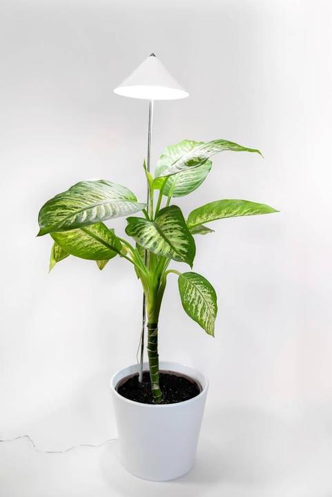 Immagine prodotto Parus by Venso Sunlite XL 25 (LED, 220 V)