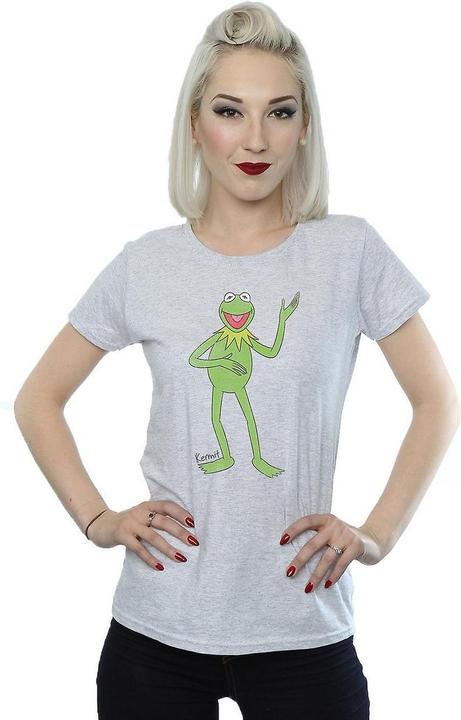 Produktbild Gildan Womens/Ladies Classic Kermit Heather T-Shirt (XL)