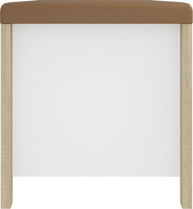 Produktbild VidaXL Aufbewahrungsbox (105 x 40 x 45 cm)