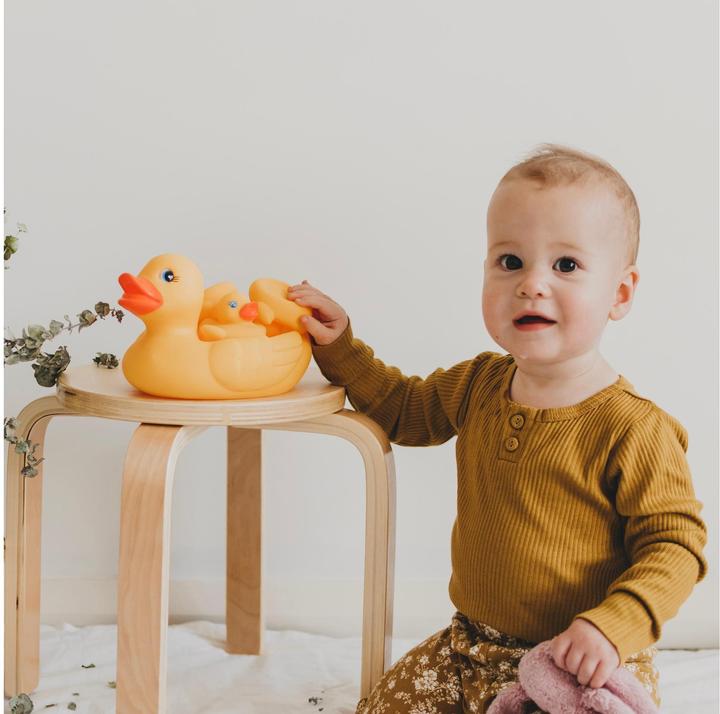 Actual product image Playgro Duck family