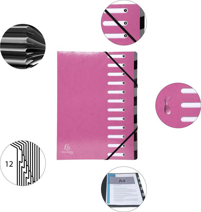 Actual product image Exacompta Folders with pleated spine (A4, 1x)