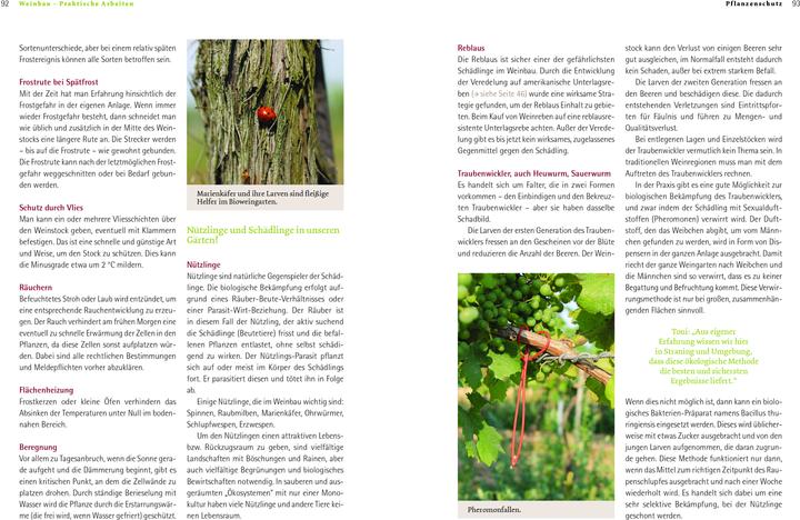 Produktbild Bio-Wein im eigenen Garten (Deutsch, Sonja Schmid, 2021)