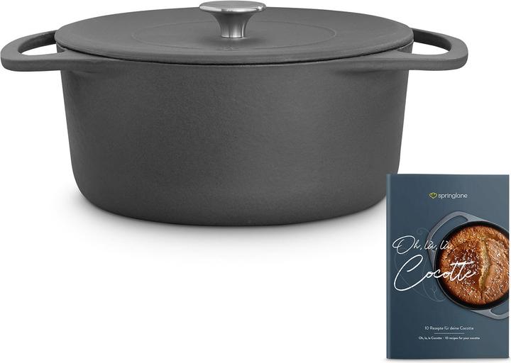 Springlane Cocotte (Casserole + Stewpot, Cast iron, 24 x 24.20 cm)