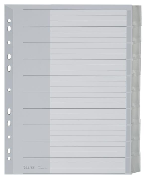 Actual product image Leitz Register PP