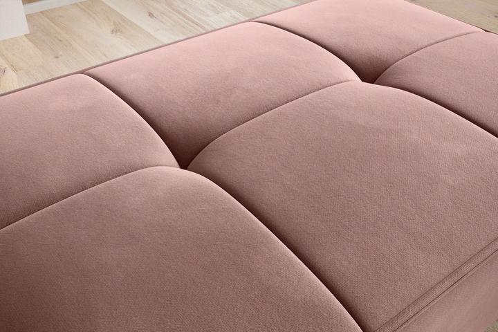 Actual product image ELTAP Bellis