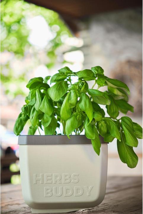 Actual product image Gusta Garden Herbs Buddy (49 x 15 x 14.50 cm)