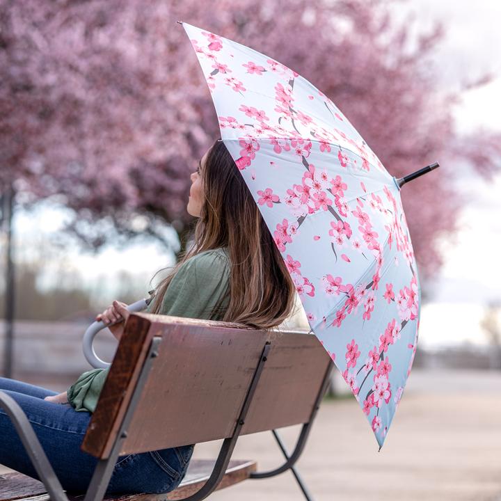 Image du produit Fisura Sakura