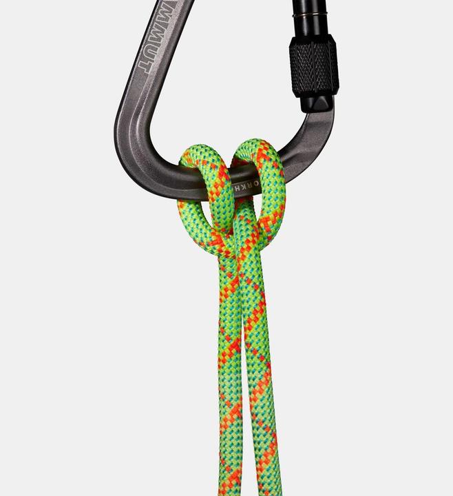 Immagine prodotto Mammut 8.0 Alpine Core Protect Corda asciutta (30 m)