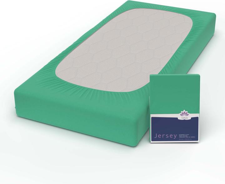 Actual product image Lotus Bettwaren Jersey Fix Comfort (140-160 x 200 cm)