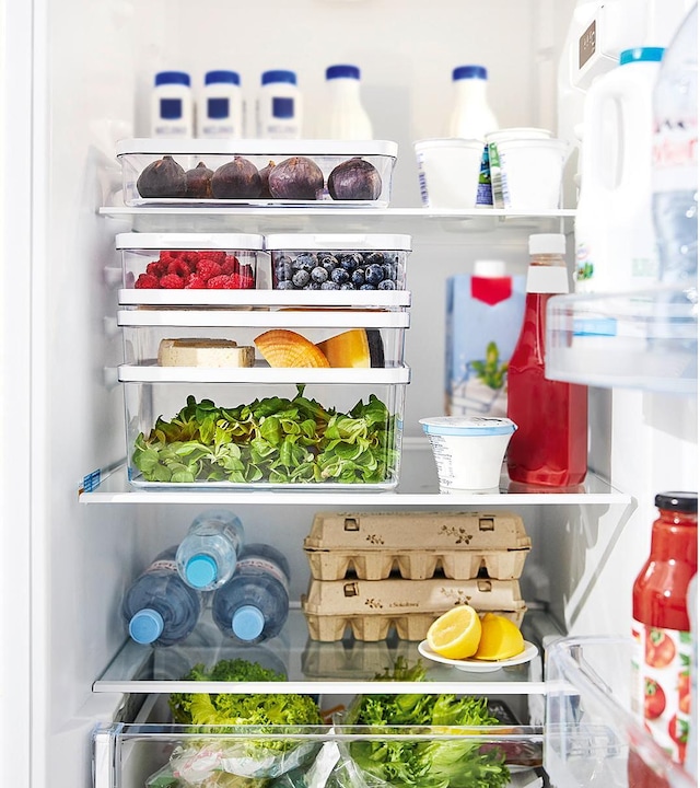 Actual product image Rotho Refrigerator organis. Cauma