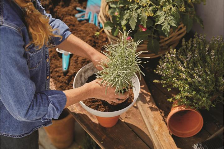 Image du produit Gardena Jardinière ClickUp! (24.70 cm)