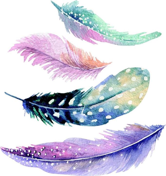 Image du produit Trenddeko Aquarelle Plumes 2 (30 x 31 cm, 50 x 52 cm, 40 x 41 cm, 60 x 62 cm, 70 x 73 cm)