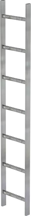 Productafbeelding Munk Thermisch verzinkte stalen schachtladder 300 mm vrije breedte 7 sporten (196 cm)