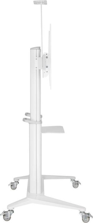 Actual product image Techly ICA-TR49W (140 kg)