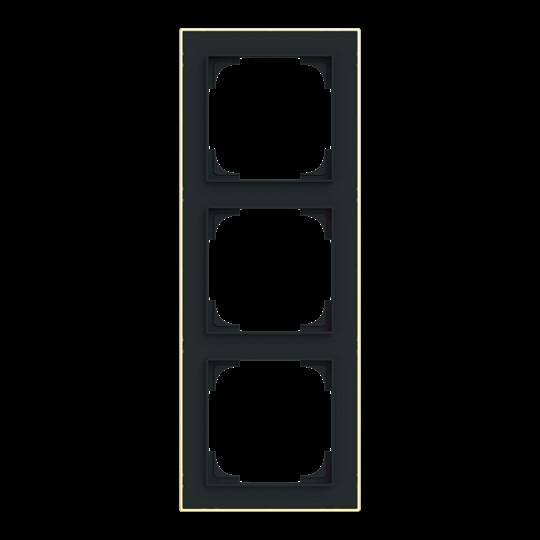 Actual product image Busch-Jaeger Frame 3-fold