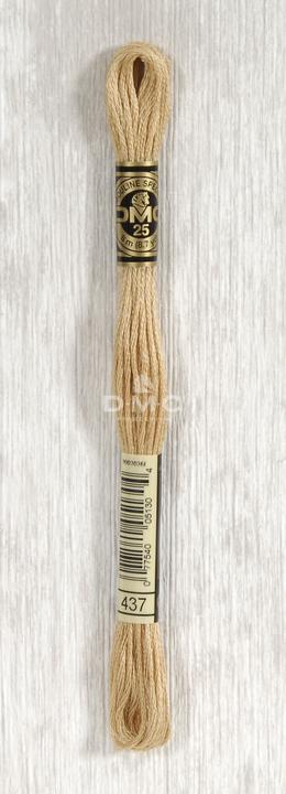 light sapricot