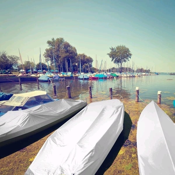Immagine prodotto Floordirekt Abdeckplane 80 g/m² (300 x 200 cm)