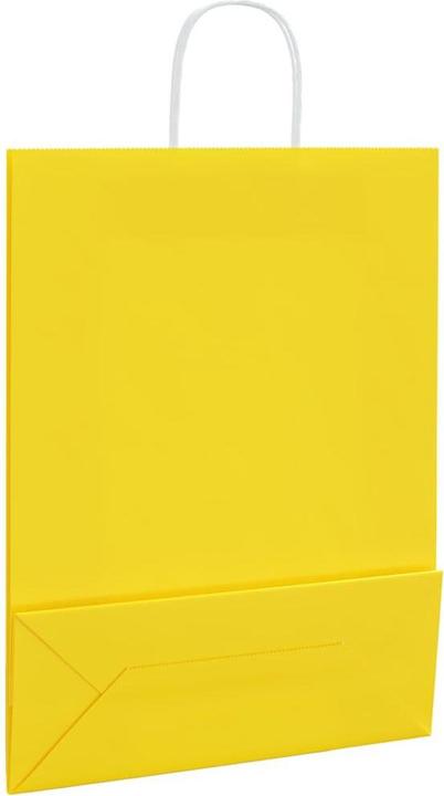 Image du produit vidaXL Papiertragetasche (250x)