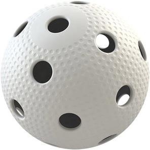 Precision Lega Pro di Floorball