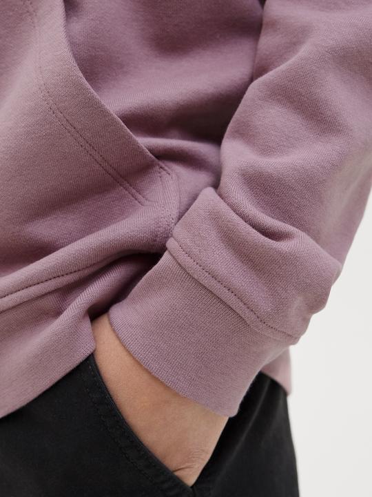 Produktbild Jack & Jones Jcotier Front Print Sweat Hood Sn Jnr (152)