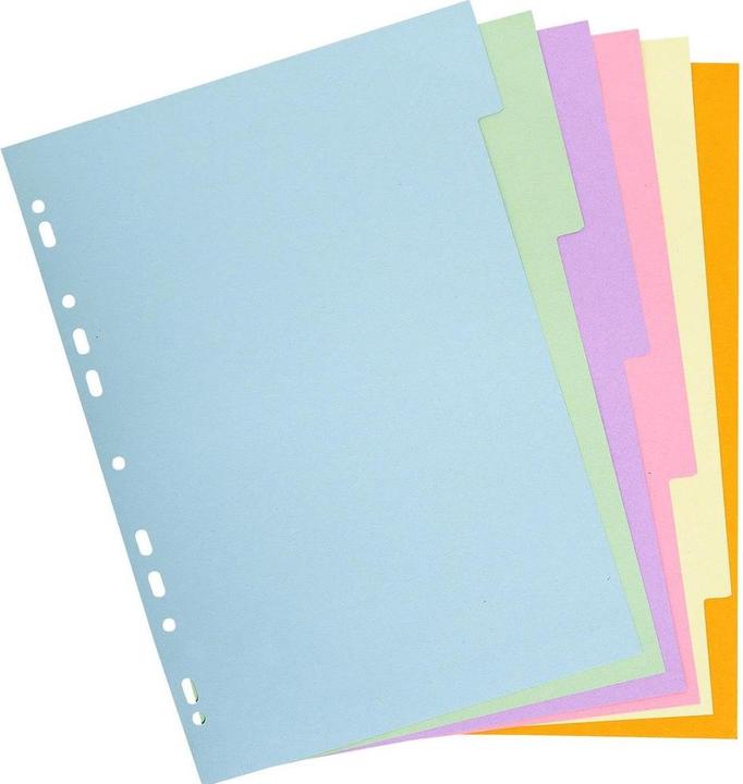 Immagine prodotto Exacompta Registro in bianco - cartone