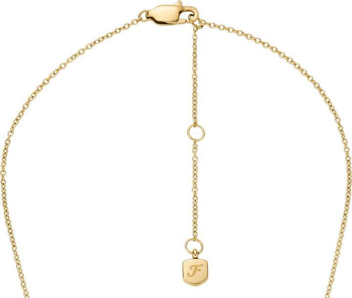 Image du produit Fossil Sutton Halskette (Acier inoxydable)