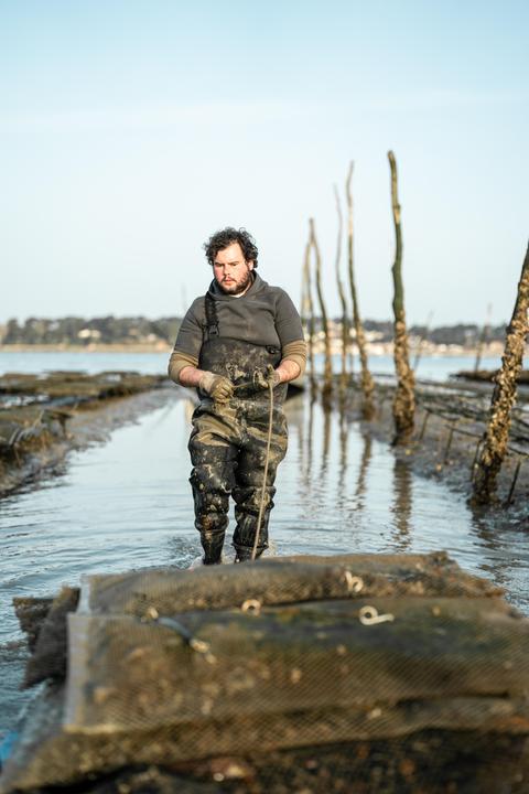 Immagine prodotto Solognac Logo (XXL)