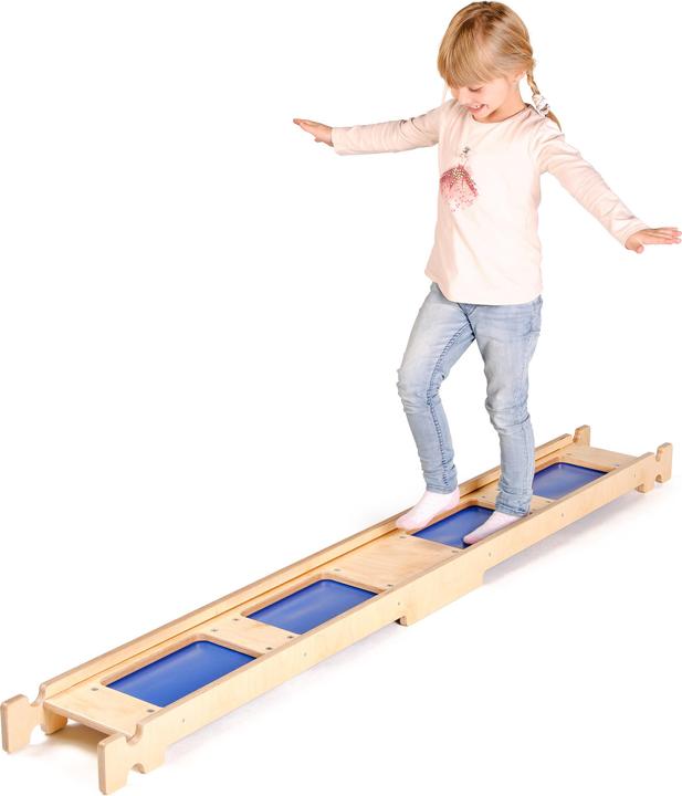 Erzi Balancing Board Puddles
