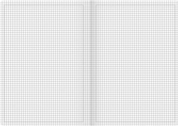 Image du produit Brunnen Cahier d'écolier Vivendi Linéature 40 quadrillé DIN A4 marge tout autour, 32 feuilles (A4, Quadrillé, Couverture souple)