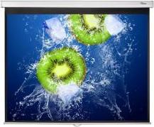 Image du produit Optoma DS-3120PMG+ LECTEUR DE CARTES (120", 4:3)